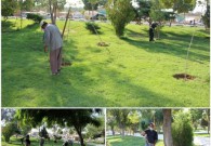 لایروبی وعلف زنی و جمع آوری همزمان ضایعات در بوستان شهید مدرس