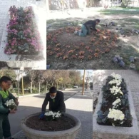 شروع کاشت گل در نیمه دوم سال