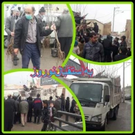 توزیع درخت در روز جمعه در مصلی نماز جمعه