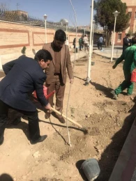 برنامه روز درختكاري