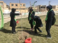 برنامه روز درختكاري