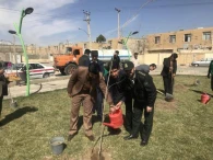 برنامه روز درختكاري