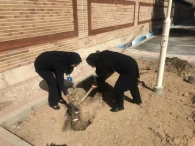 برنامه روز درختكاري