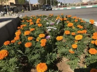 برنامه استقبال از نوروز