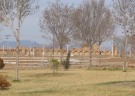 کاروانسرای عباسی گز