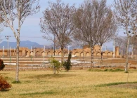 کاروانسرای عباسی گز