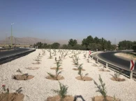 اجراي فضاي سبز و كاشت درختچه رمپ ورودي شهر