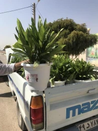 استقبال از سال تحصيلي جديد