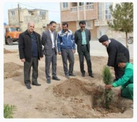 برگزاري مراسم روز درختكاري